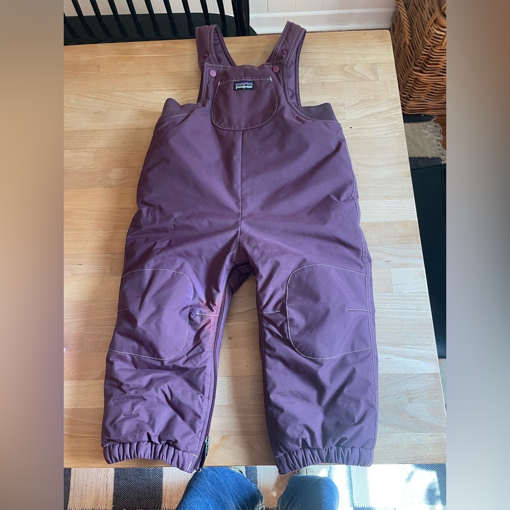 Patagonia Kids Plum Colored Snow Bibs 24 month